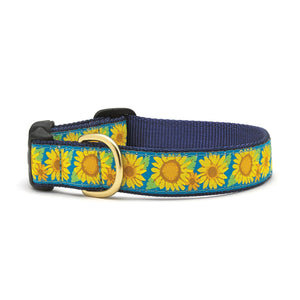 Bright Sunflower Dog Collar