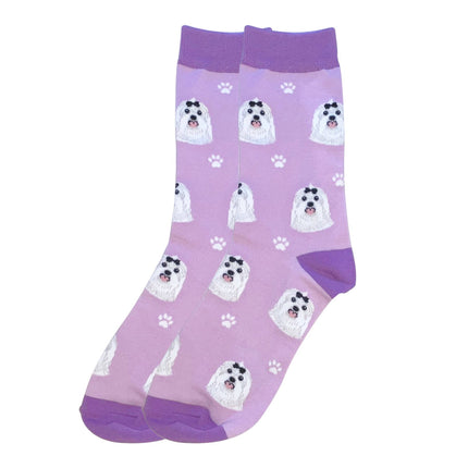 Maltese Dog Socks Unisex