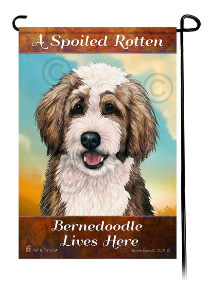 Bernedoodle Sable and White A Spoiled Rotten Lives Here -...