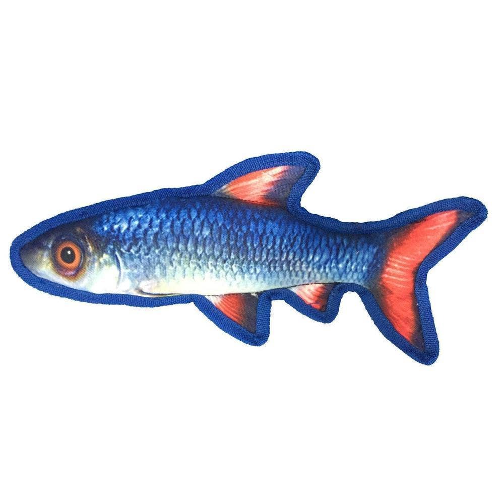 Tropical Shiner Dog Fish Toy