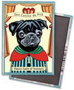 Pug Black 