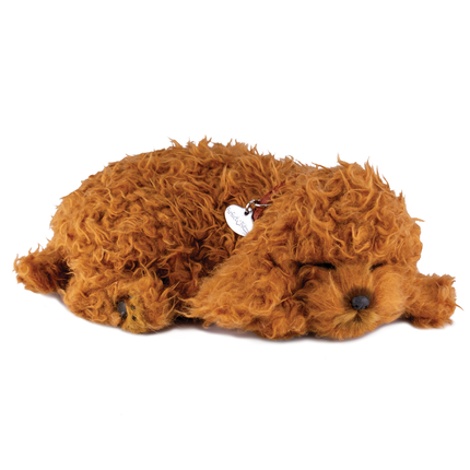 Poodle Toy Perfect Petzzz