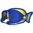 Tropical Blue Tang Dog Fish Toy