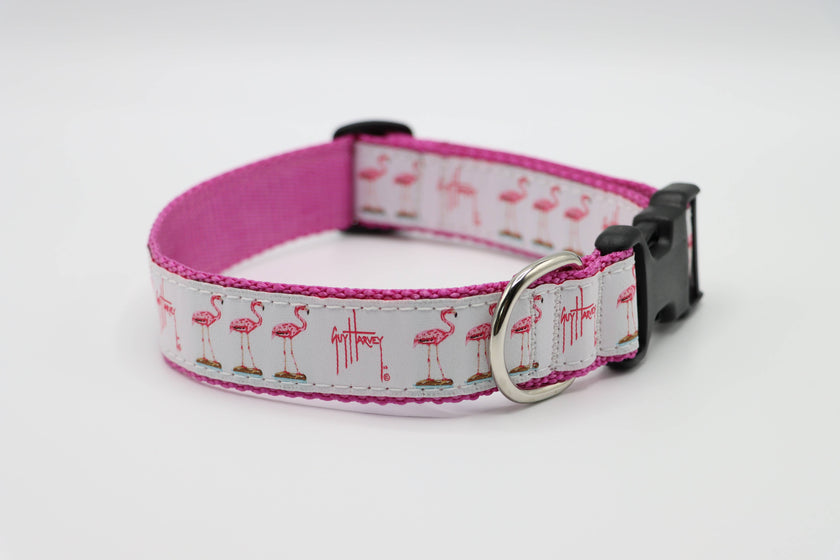 Guy Harvey Flamingo Side Release Buckle Clip Dog Collar or Leash