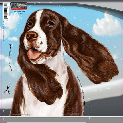 Springer Spaniel Liver & White - Car Window Decal