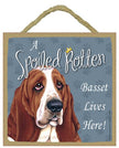 Basset Hound Spoiled Rotten Sign