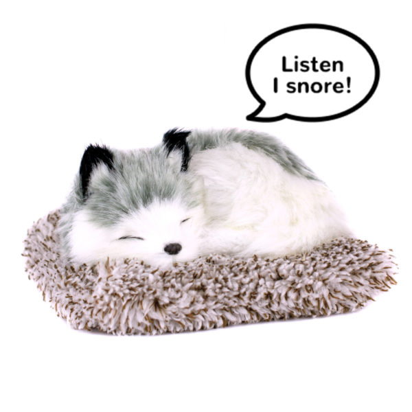 Mini Husky Perfect Petzzz