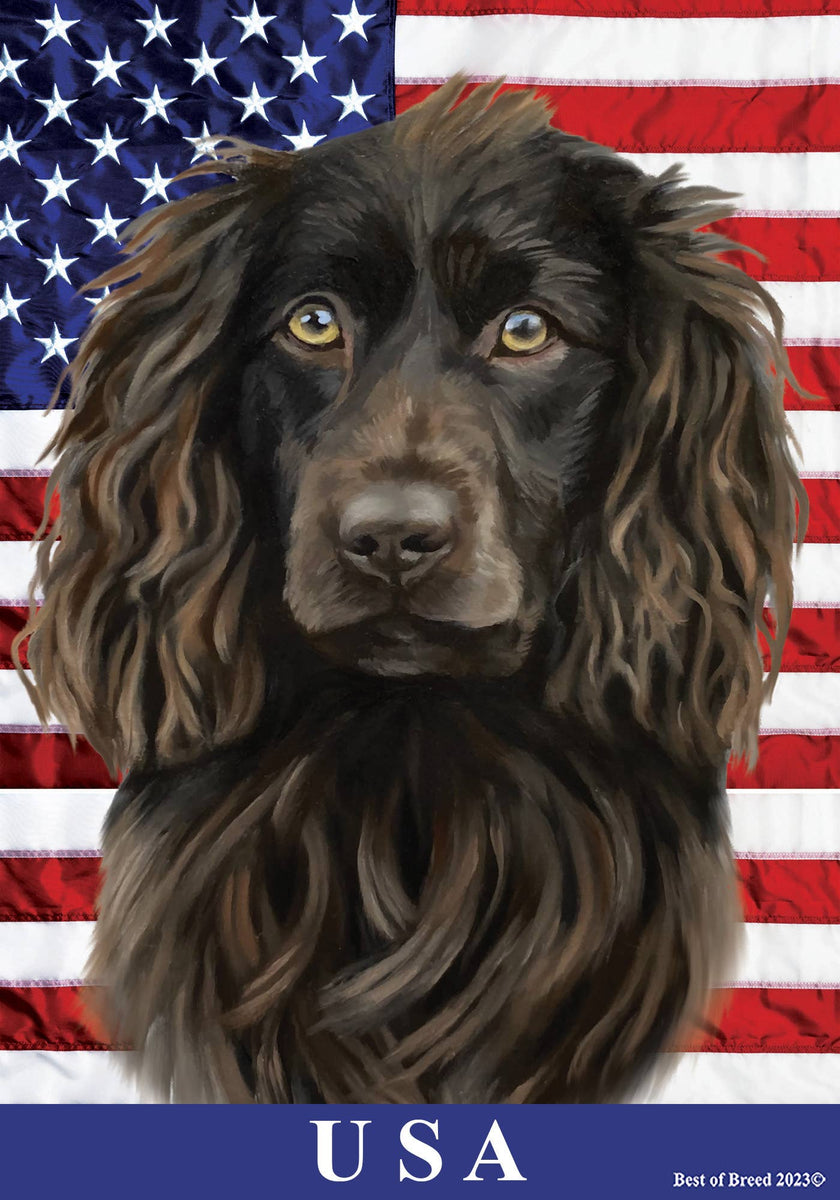 Boykin Spaniel -  All-American II Garden Flag