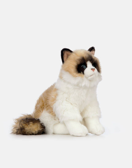 Living Nature Ragdoll Cat