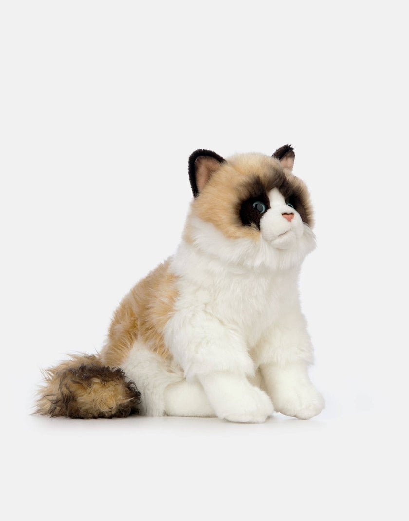 Living Nature Ragdoll Cat