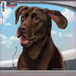 Chocolate Lab Cattle Dog - Dogs On The Move Window Decal