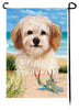 This Cavachon Garden Flag is a testament to the beauty of your favorite breed and the American Flag. 