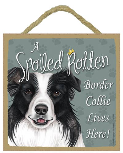 Border Collie Spoiled Rotten Sign