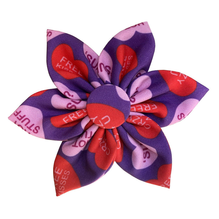 H&K Pinwheel Convo Hearts